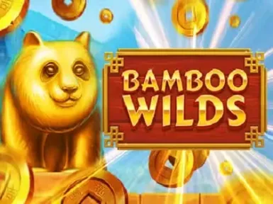 Vicibet Casino screenshot